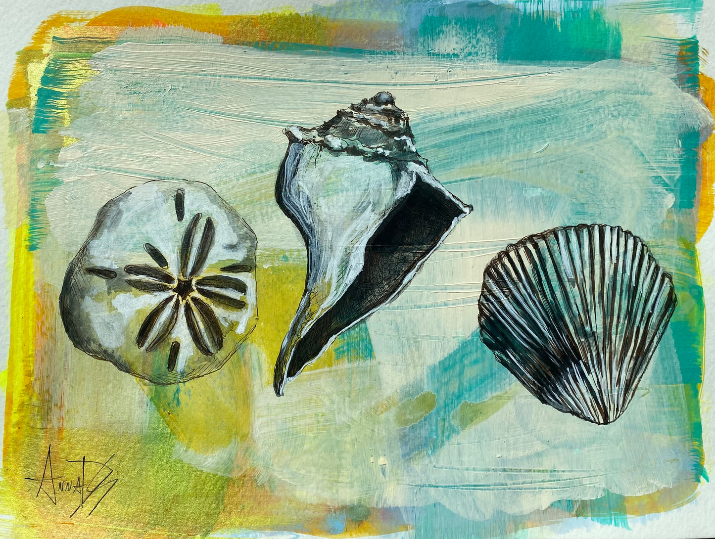 Shells