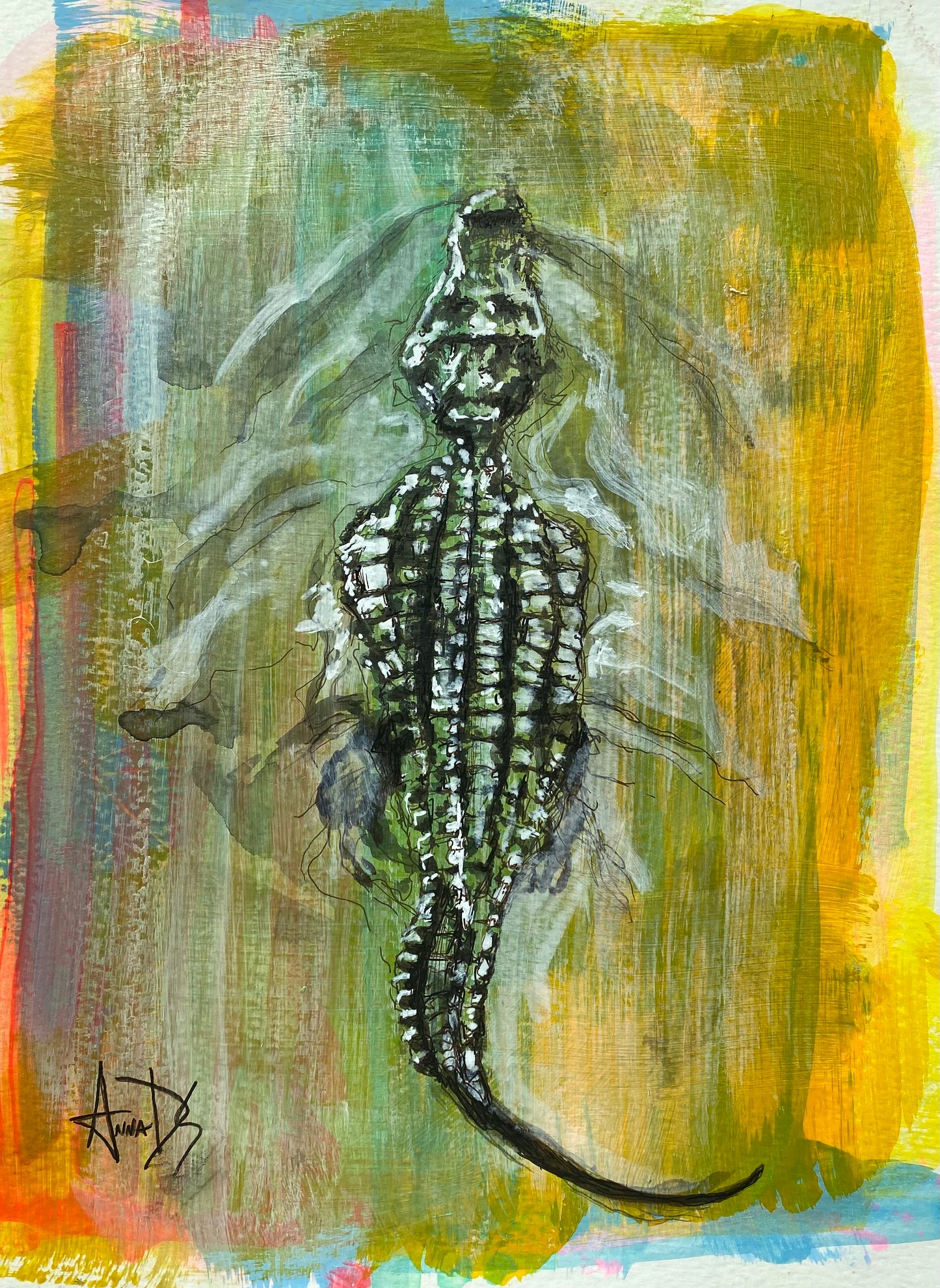 Alligator