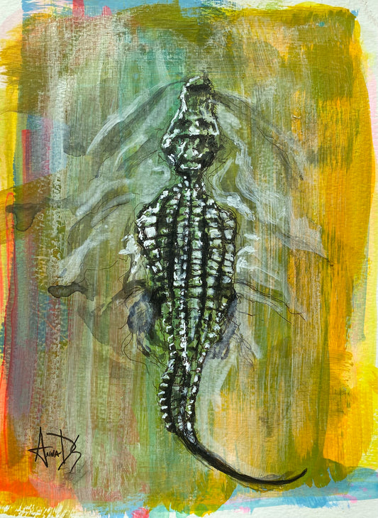 Alligator